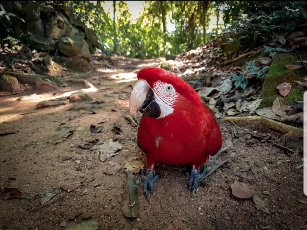 Recanto Da Gipoia Angra dos Reis Exteriér fotografie